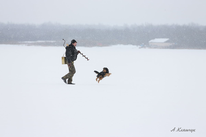 Чтоб бы ни пришло вам в голову — это уже есть в Shutterstock