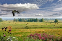 Фотоконкурс "Белорусы на природе: контрасты" (до 15 июня)