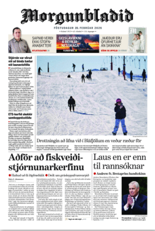 «Успрымайце, як дарогі і медыцыну»: Чаму Ісландыя фінансуе прыватныя медыя з падаткаў