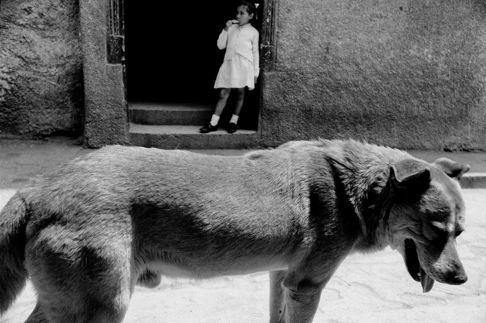 фотограф Серхио Ларраин