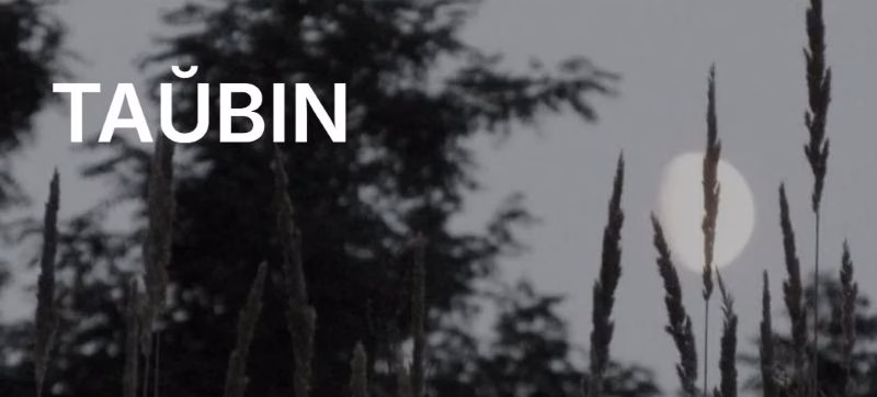 збор для для інтэрнэт-часопіса «Таўбін»