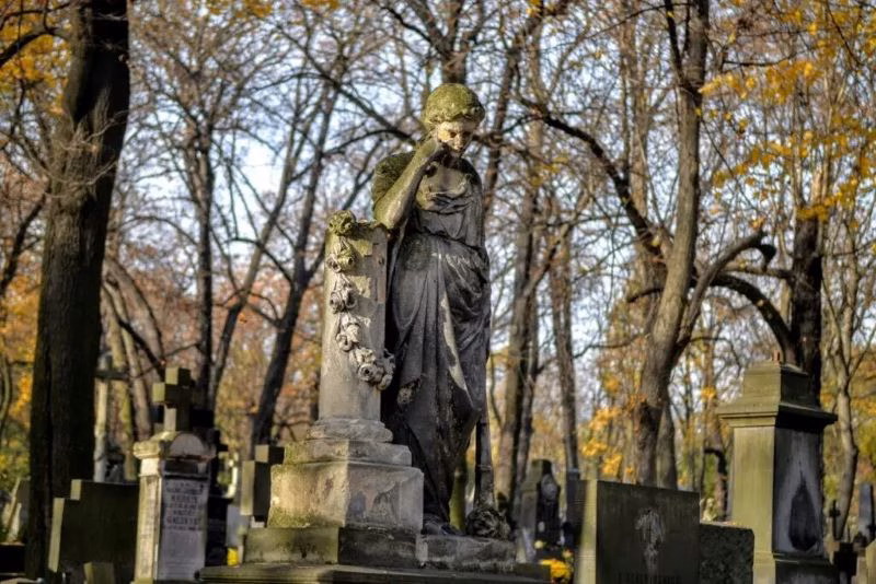 Паванзкоўскія могілкі